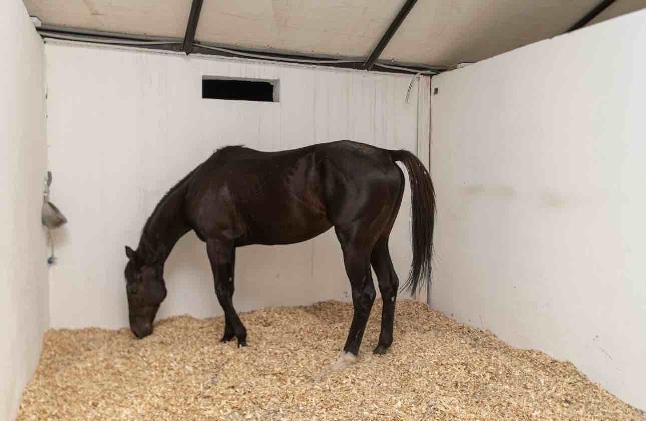 ايواء غرف مغلقة