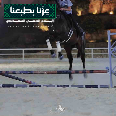 تدريب قفز حواجز 🇸🇦