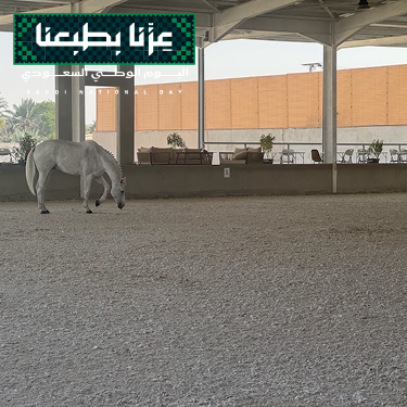 تدريب تأسيس أرضي - فارسات 🇸🇦