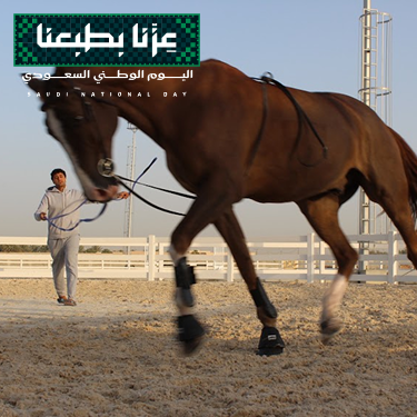 تدريب تأسيس أرضي - فرسان 🇸🇦