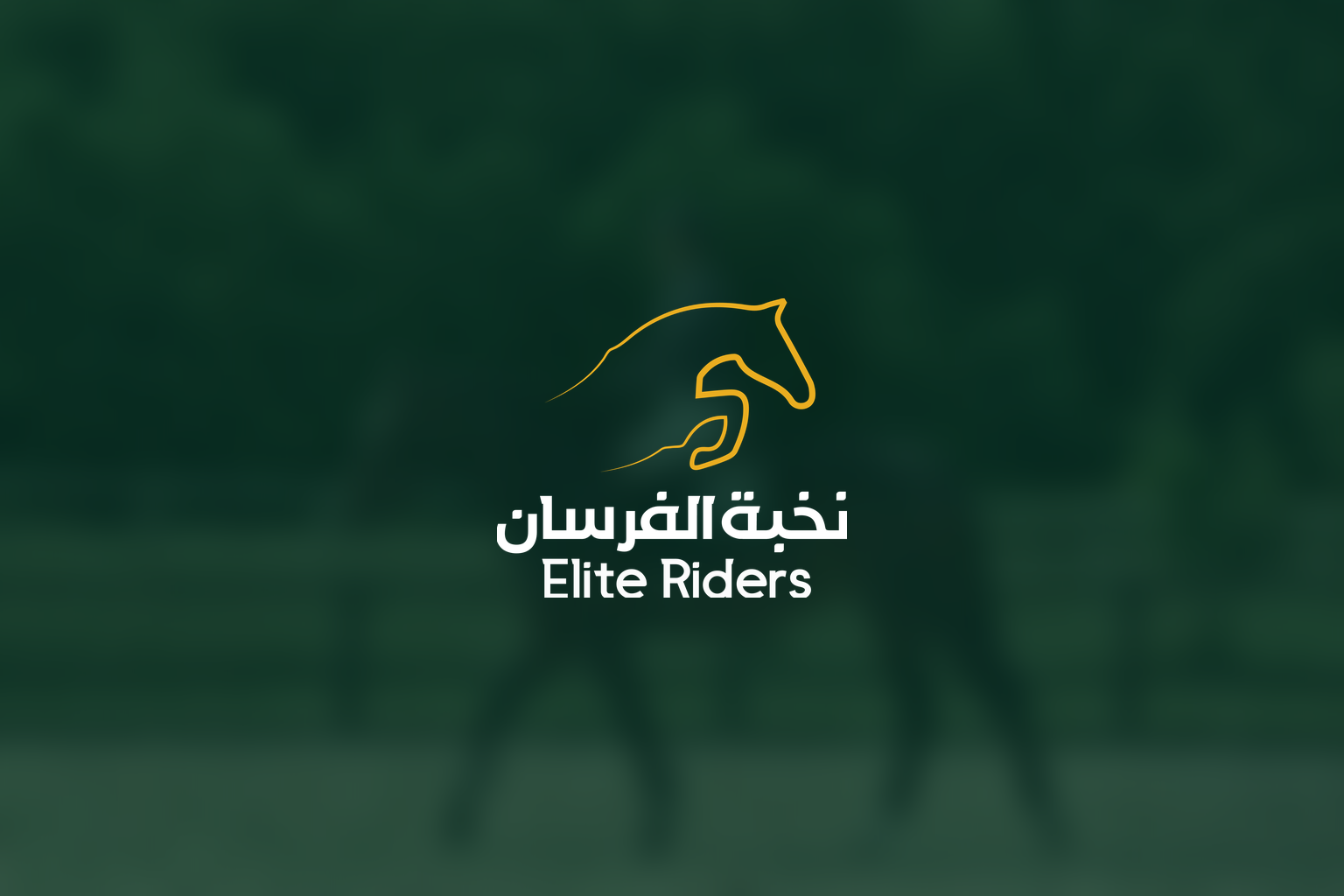 Show jumping training course (For horse)