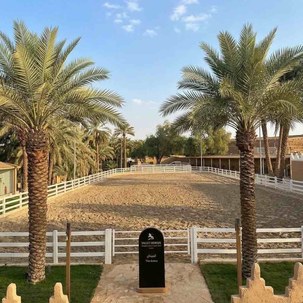 جولة ركوب داخل البادوك